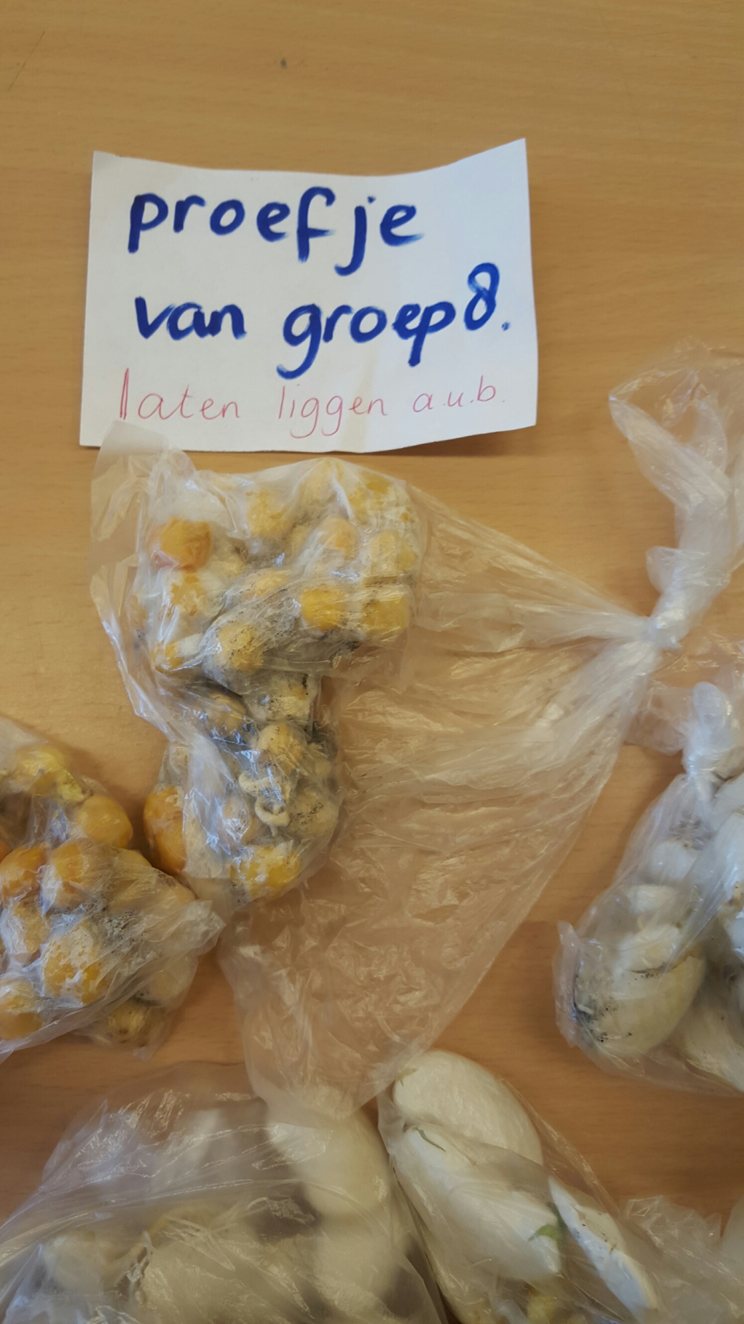 groep 8 experimenteert met biogas