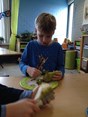 peren schillen voor de heksensalade