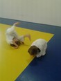 20160224_102502