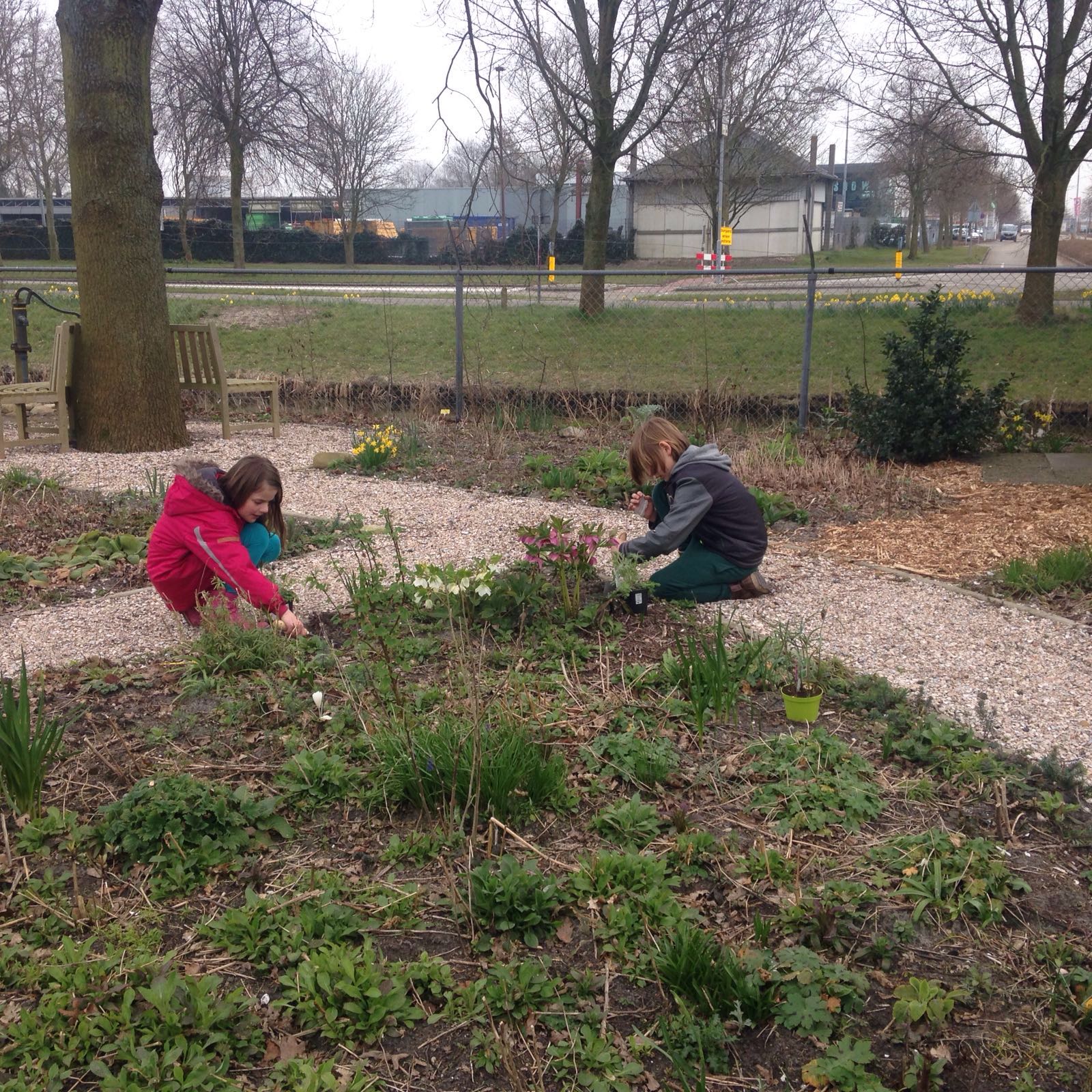 Groep 5 naar de buurttuin de By