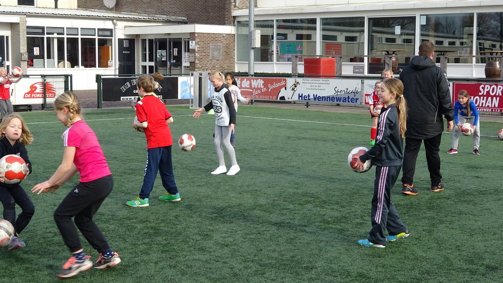 Groep 5 naar de Foresters