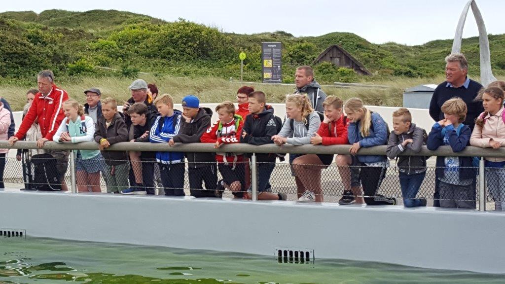Kampfoto's van groep 8 bekijken in het Floreplein