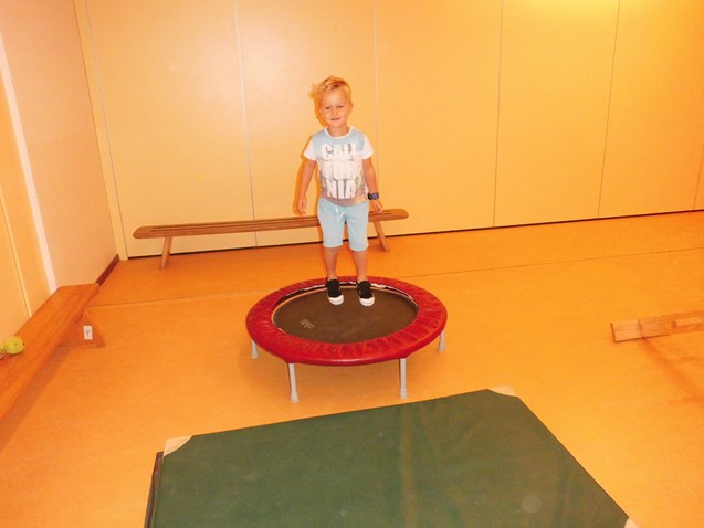 mini-trampoline