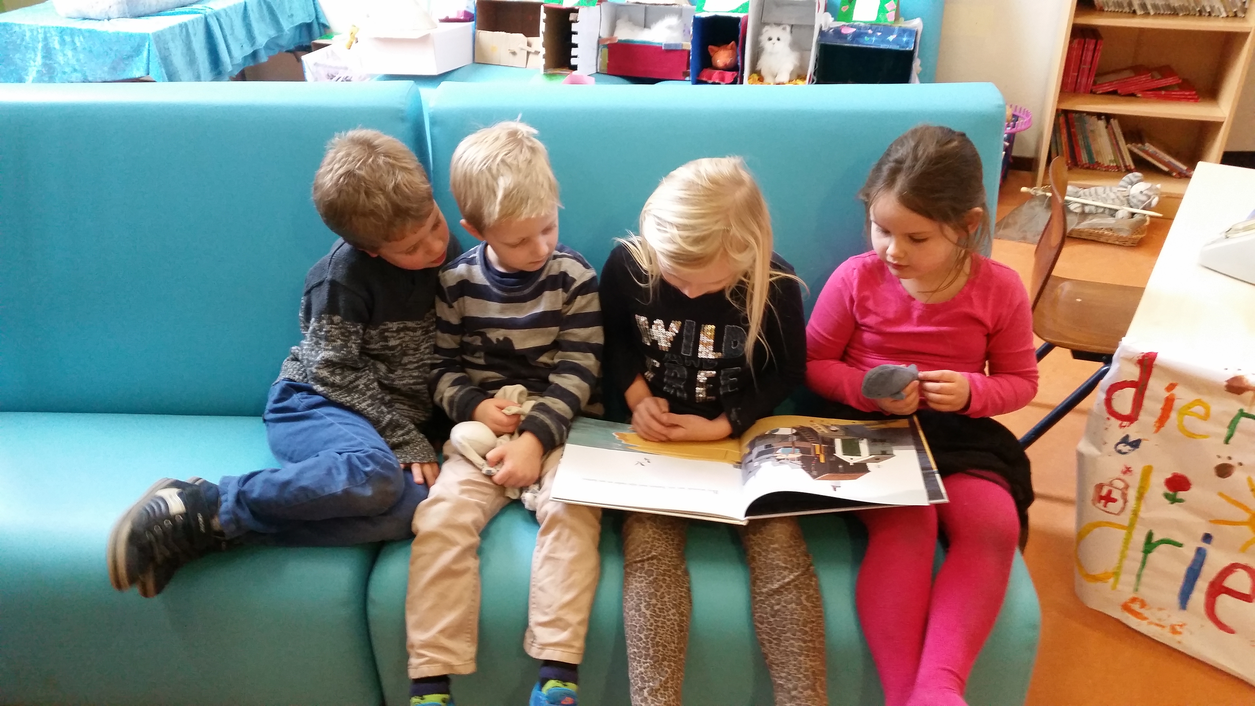 Wie werken er in een dierenarts praktijk?