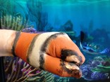IMG-20170217-WA0002
