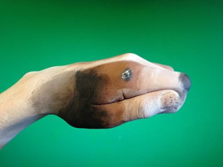 IMG-20170217-WA0001