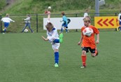 DSC02471a