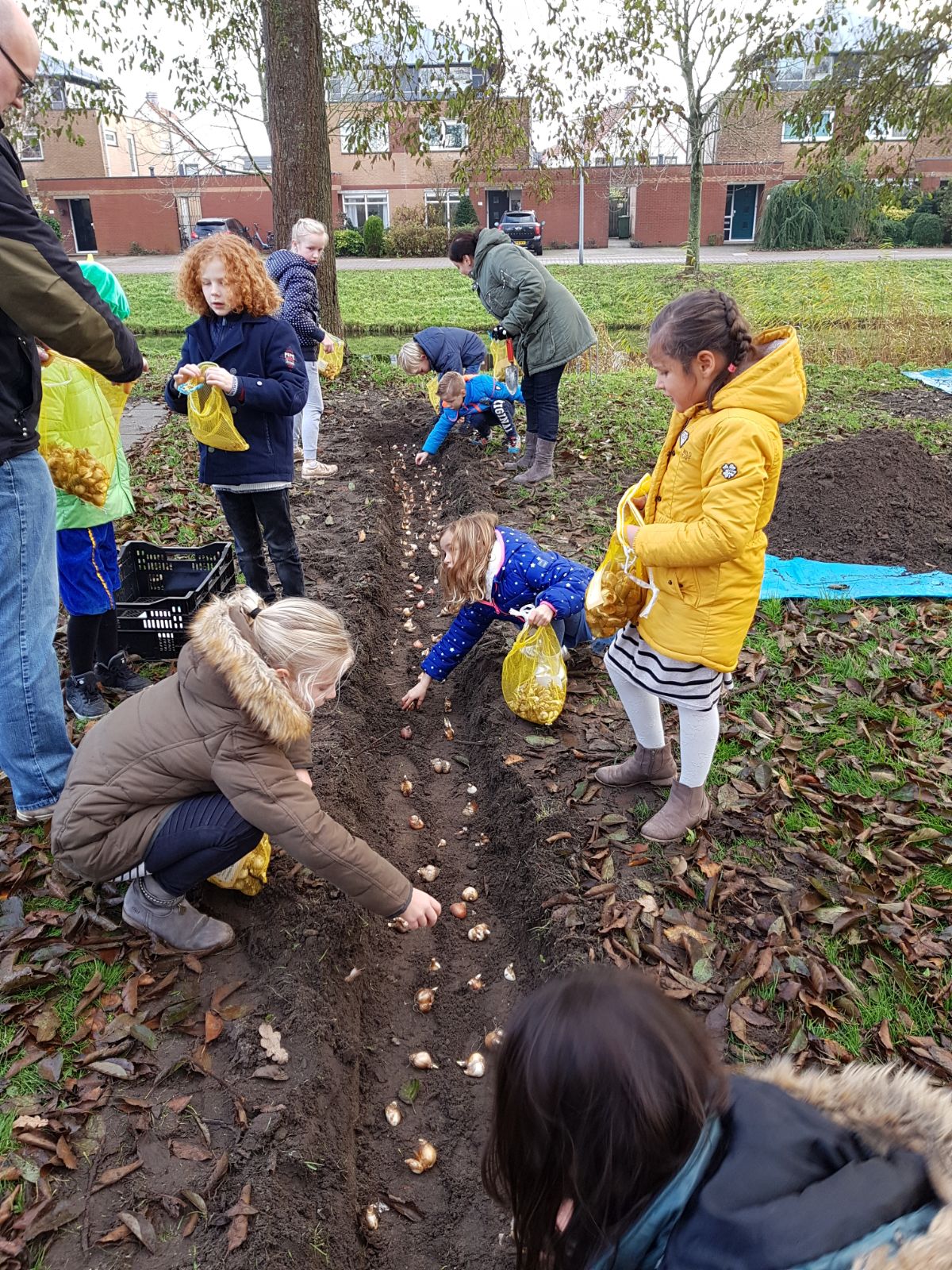 Bollen voor de Paulusschool