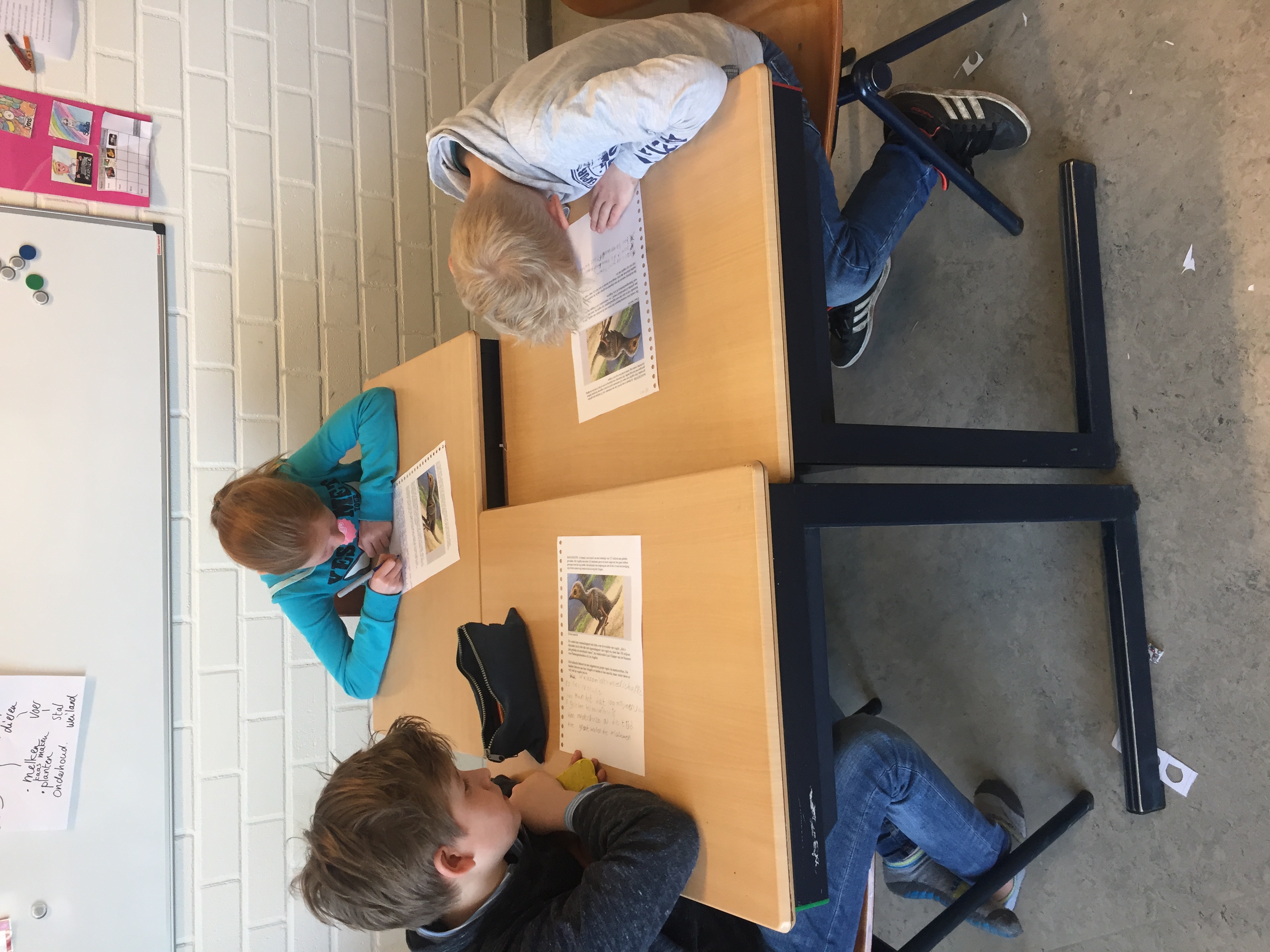 De week van groep 5/6