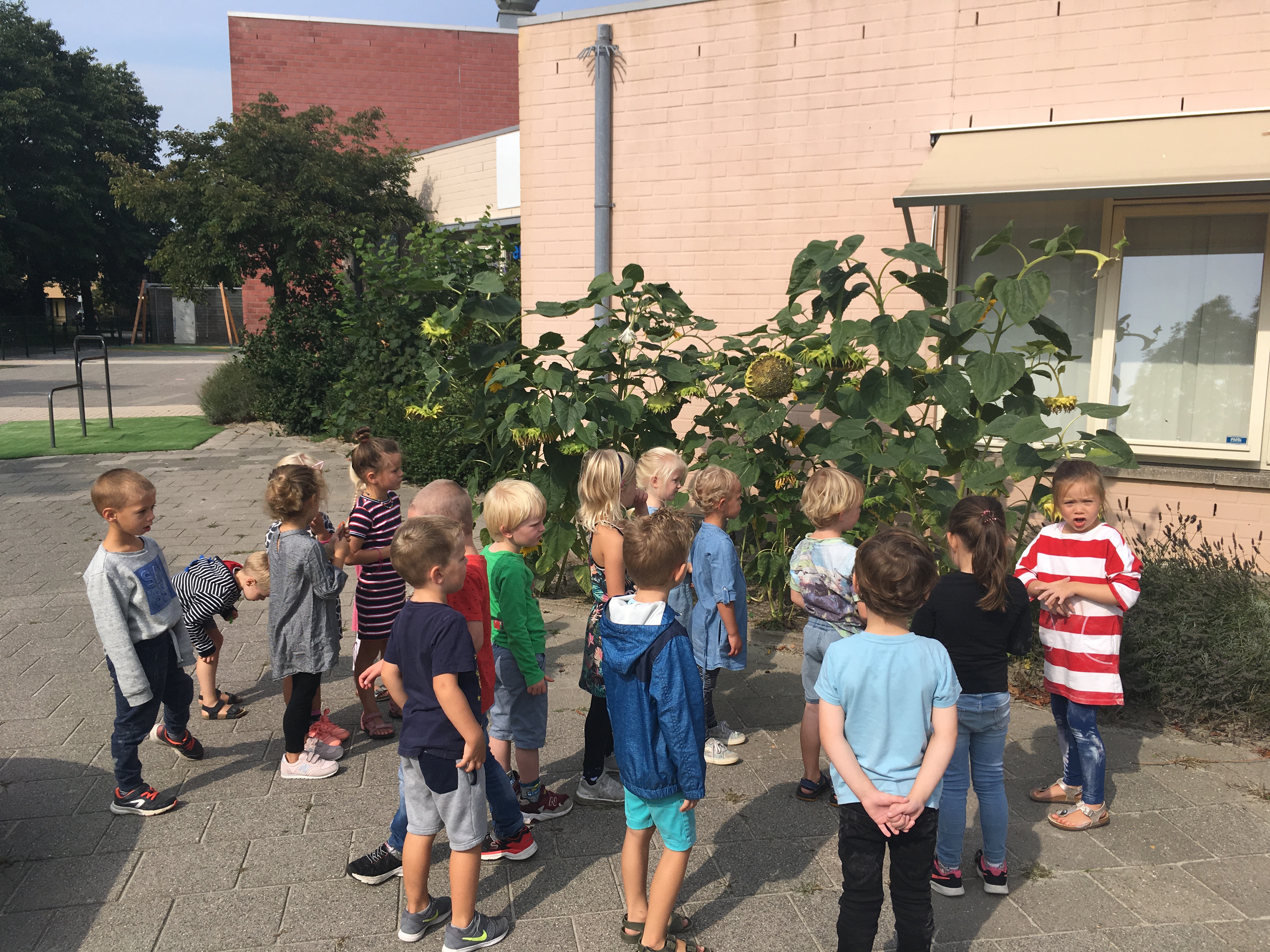 Groep 1-2