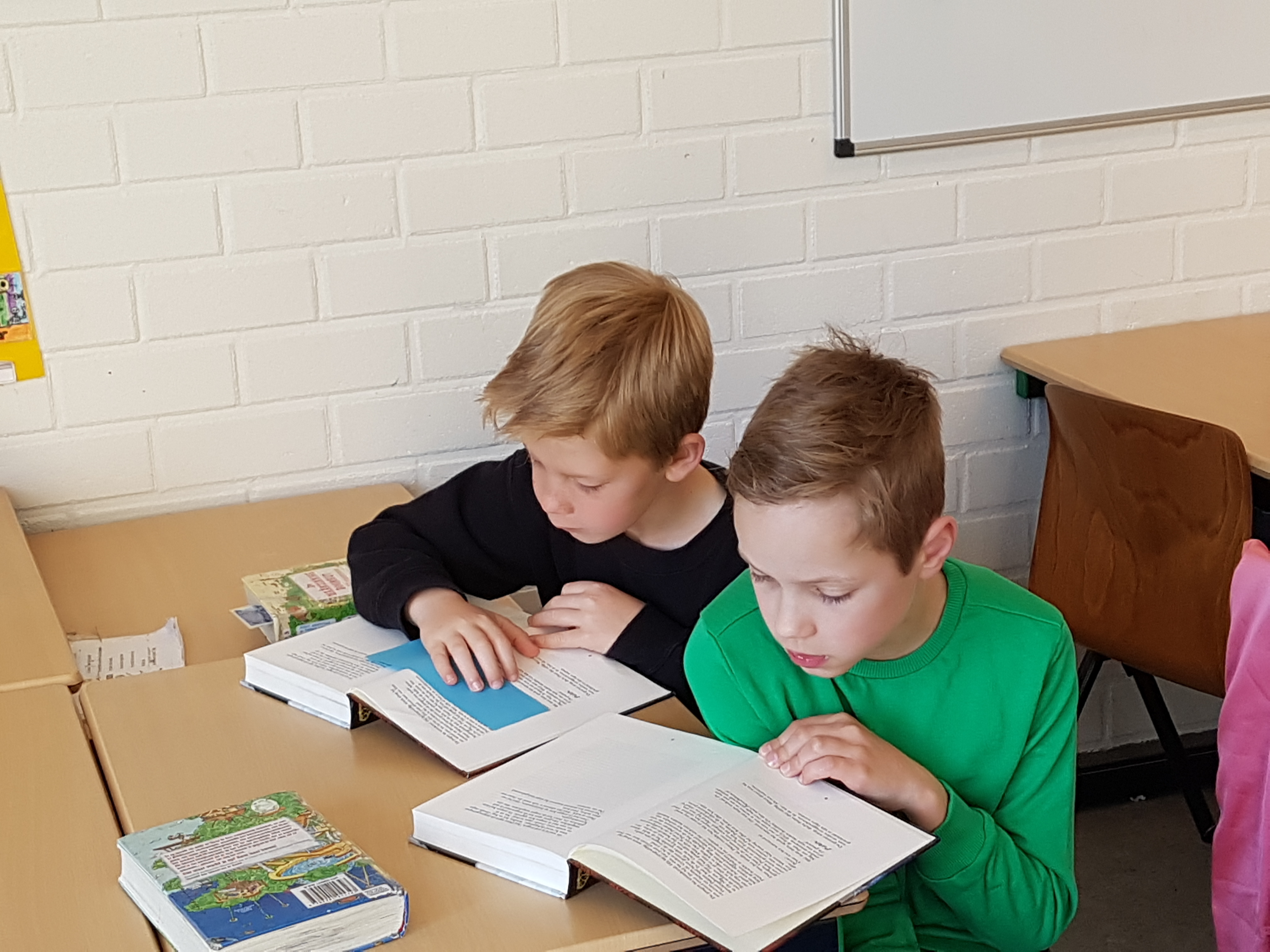 Groep 5/6