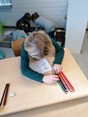 IMG_20200109_134522
