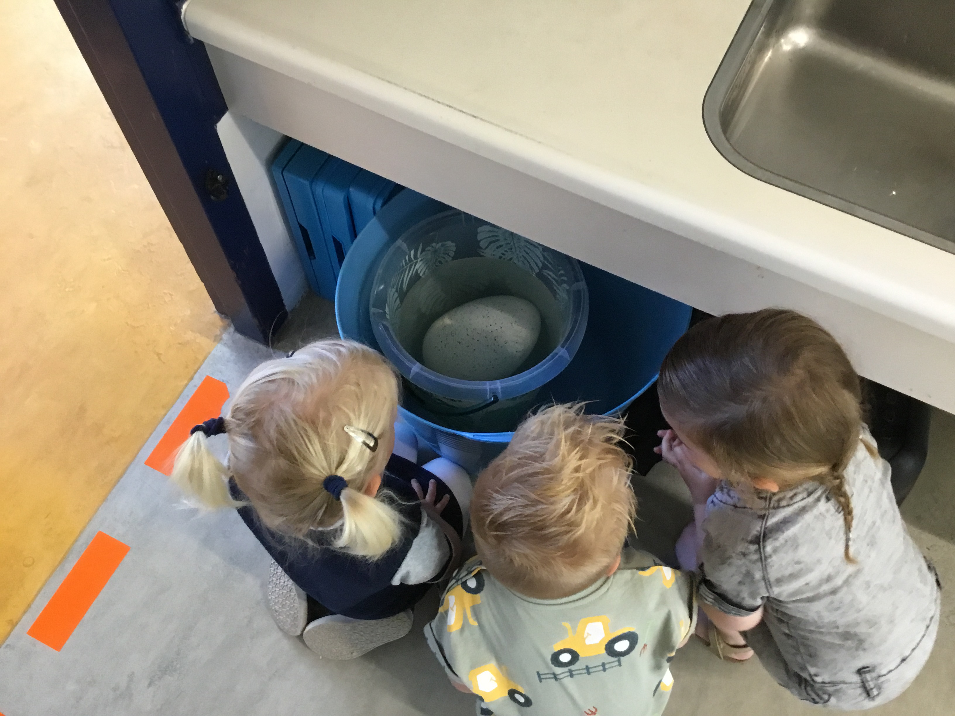 Dinovondsten bij de peuteropvang