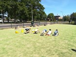 IMG-20200529-WA0006