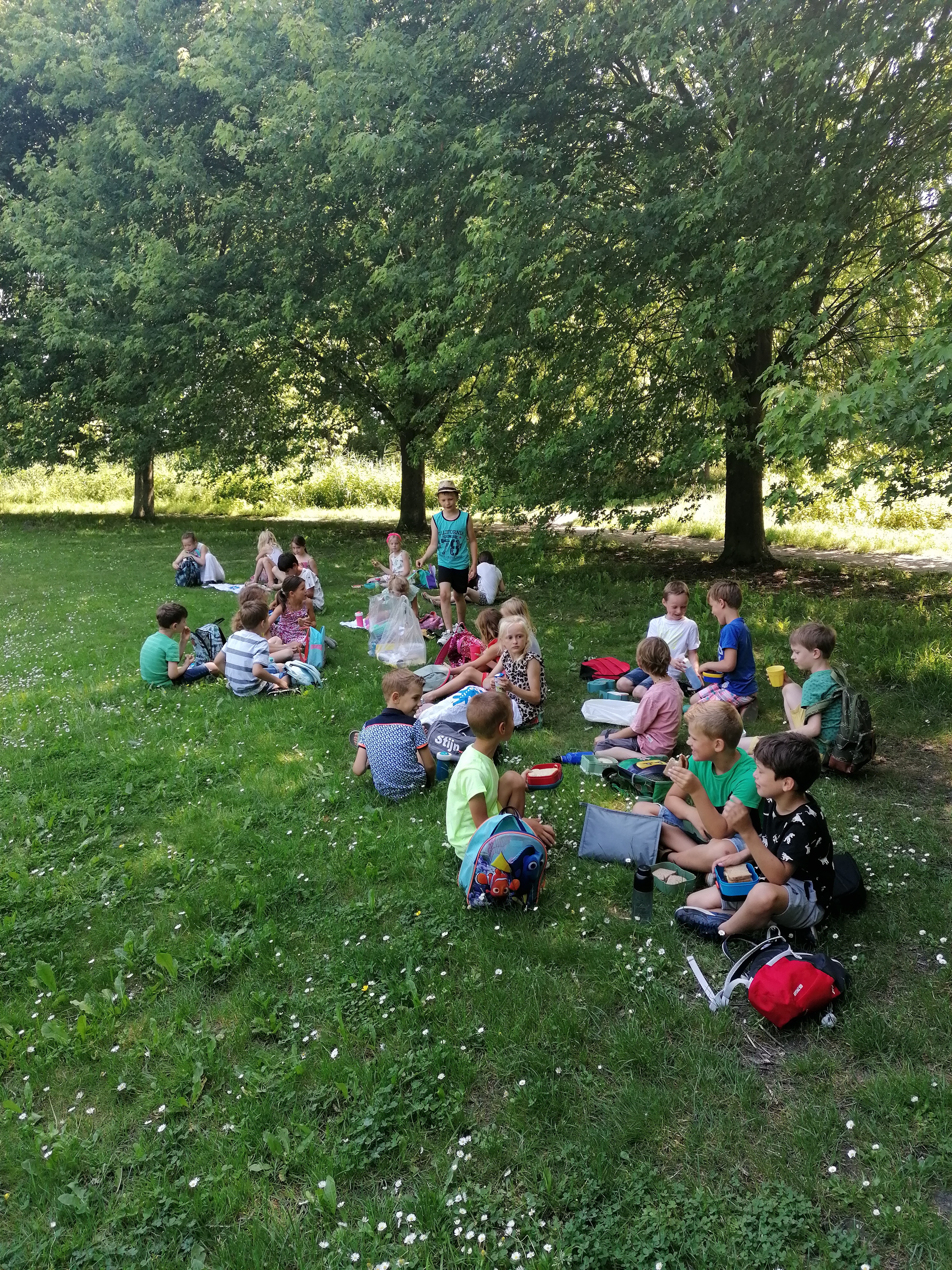 Groep 3-4