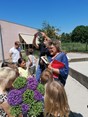 IMG_20200625_142427
