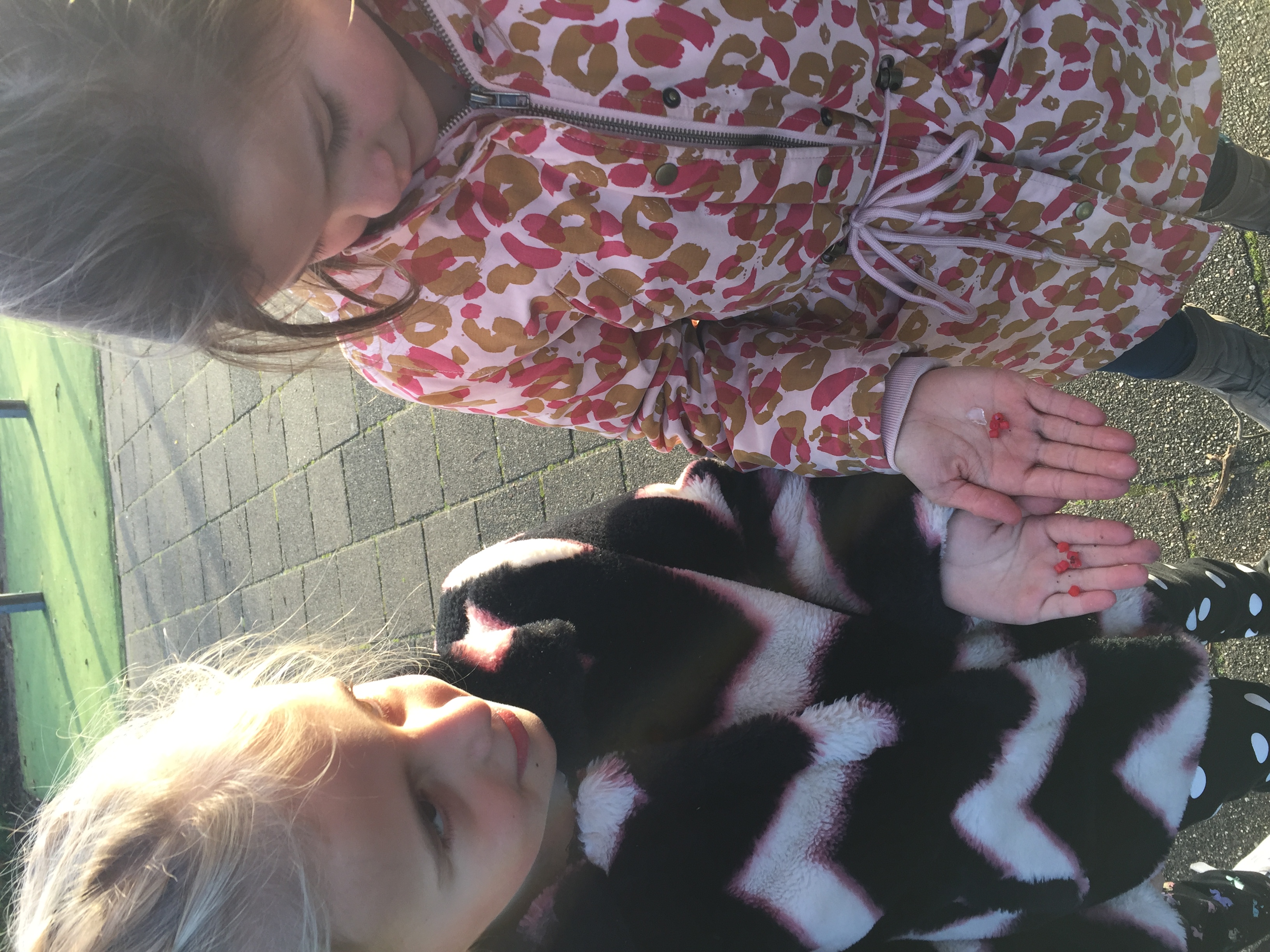 Schoonmaakacties op het plein