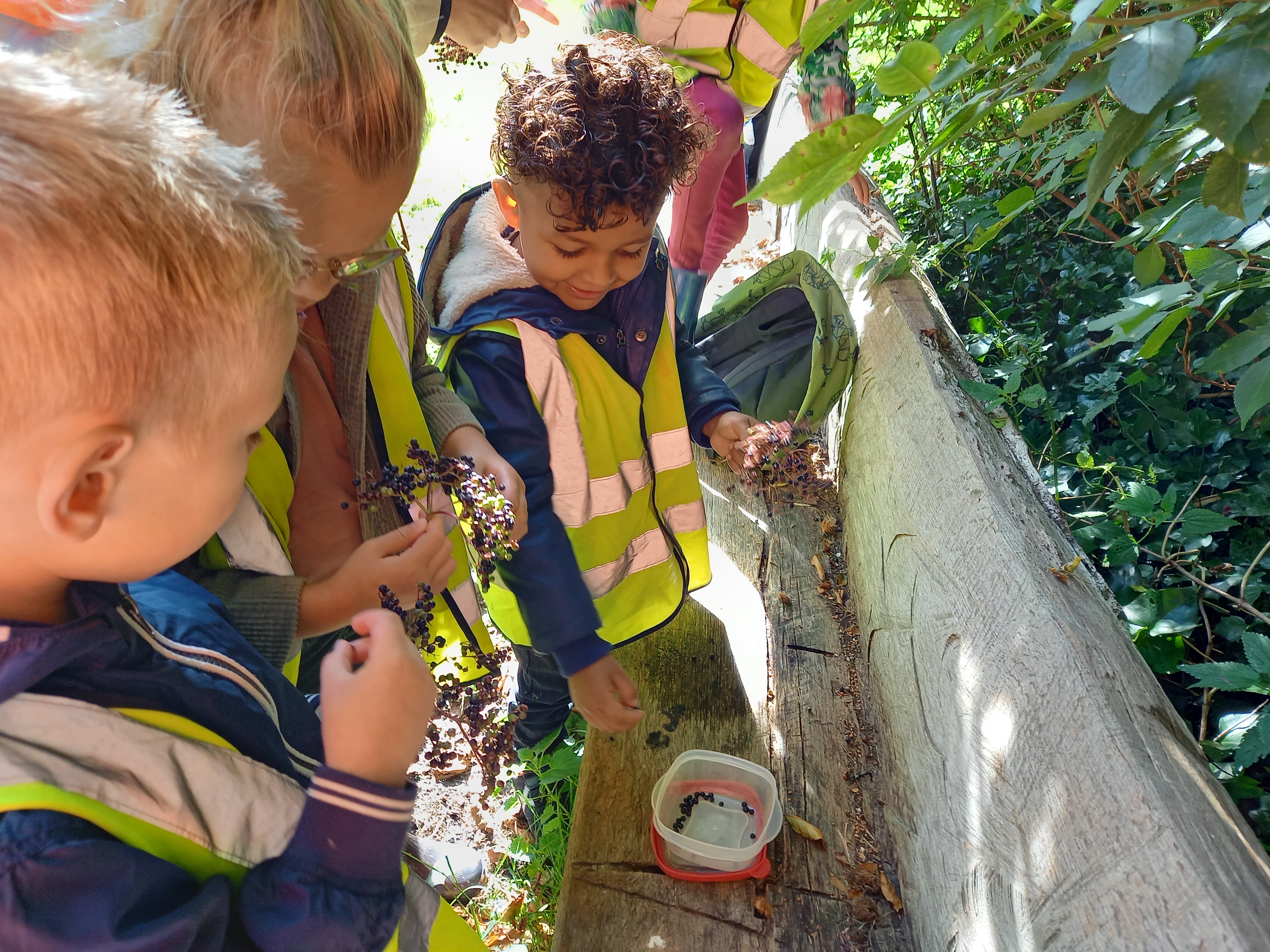 Groep 2 maakt boerderijmoes 