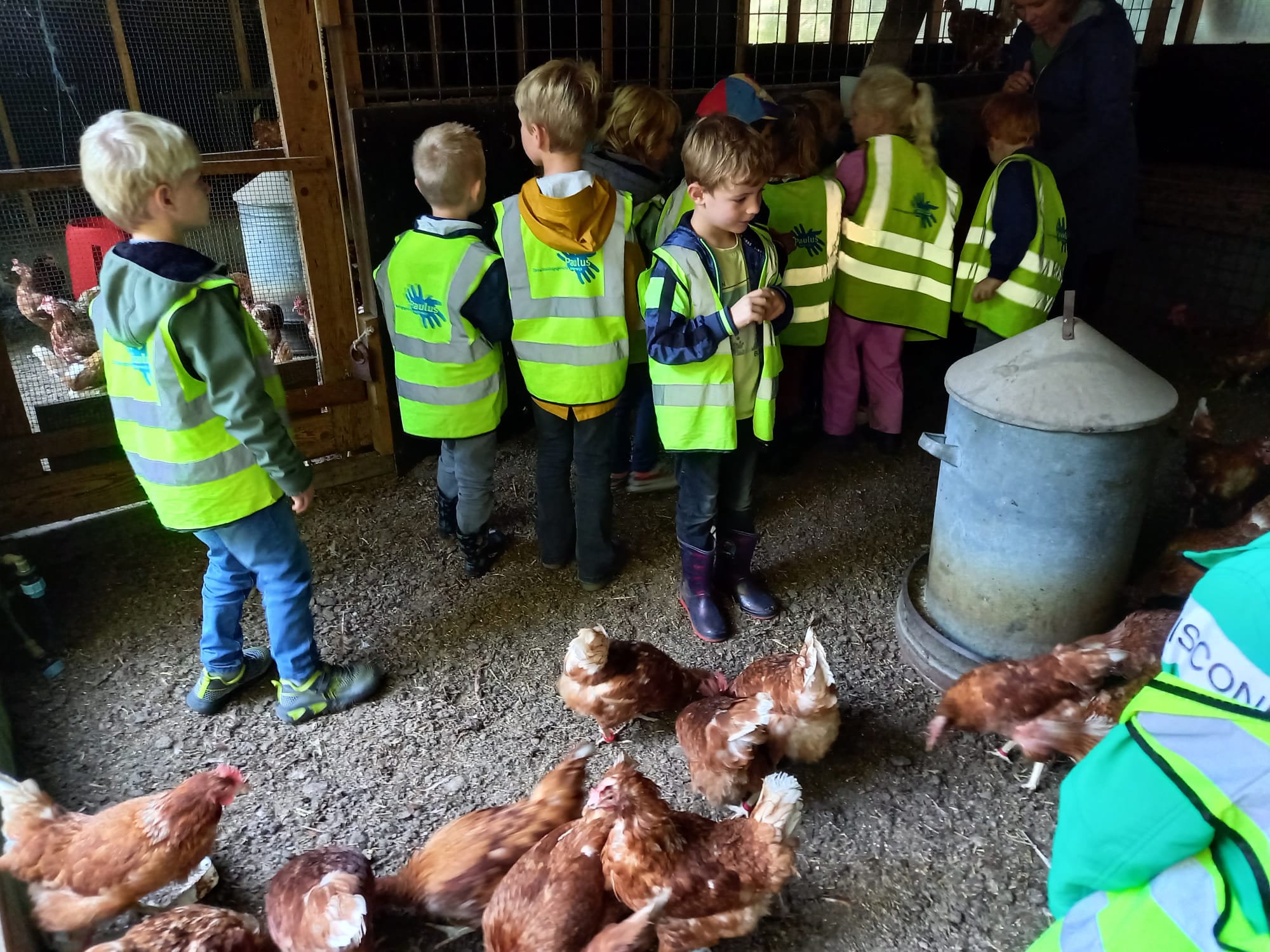 Groep 2-3 groene kring 