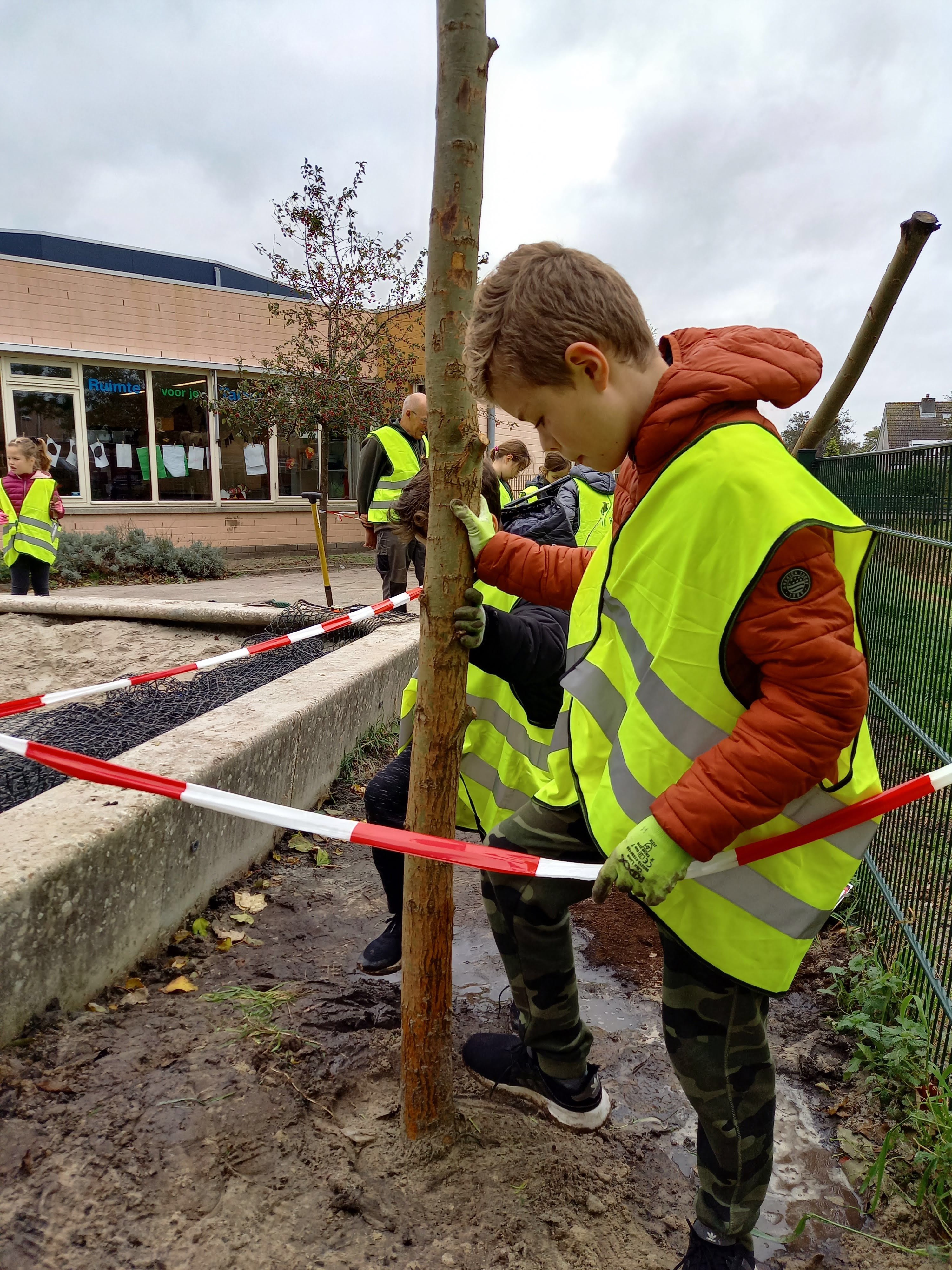 Het eerste groen is geplant!