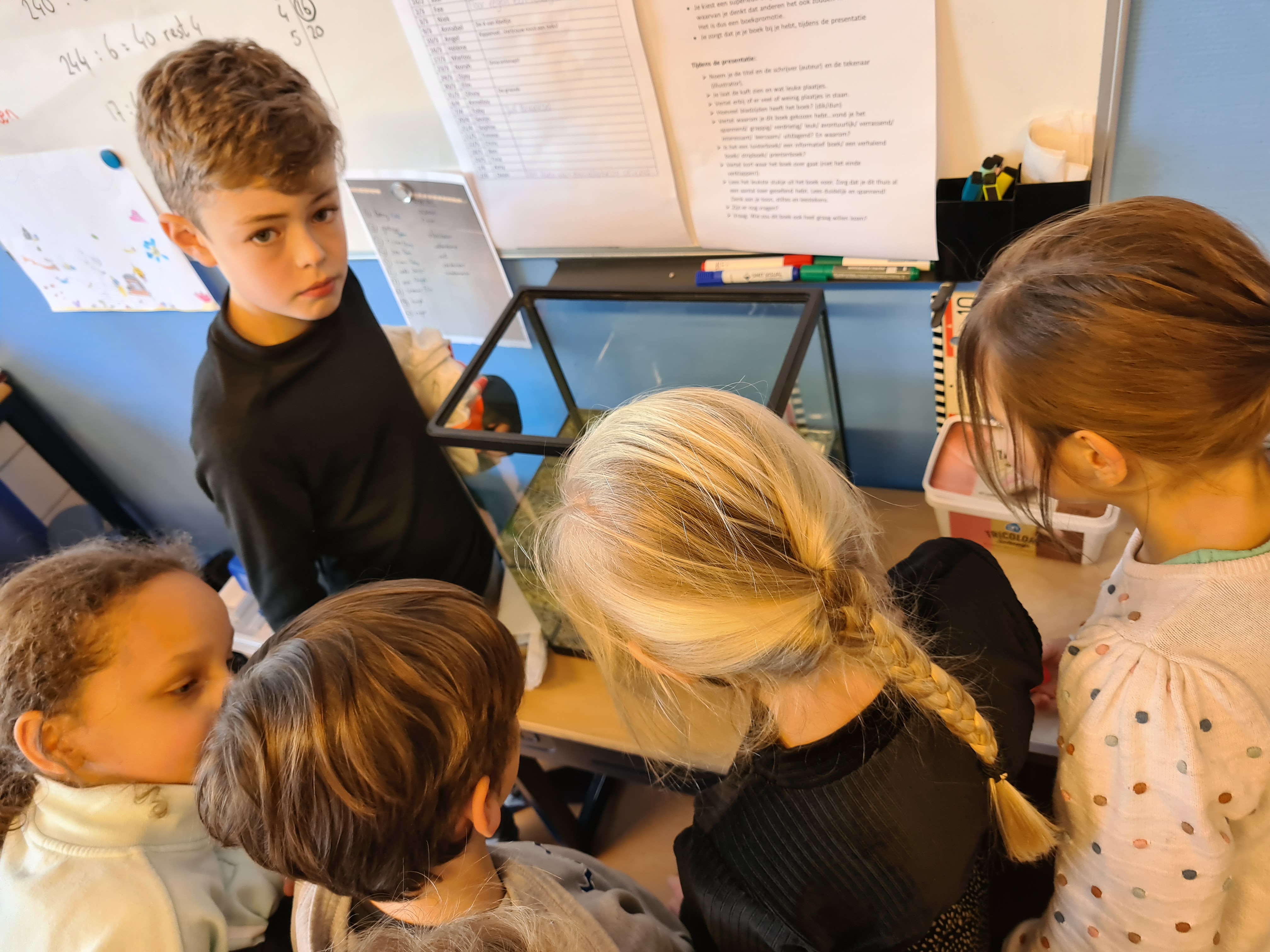 De week van groep 5/6