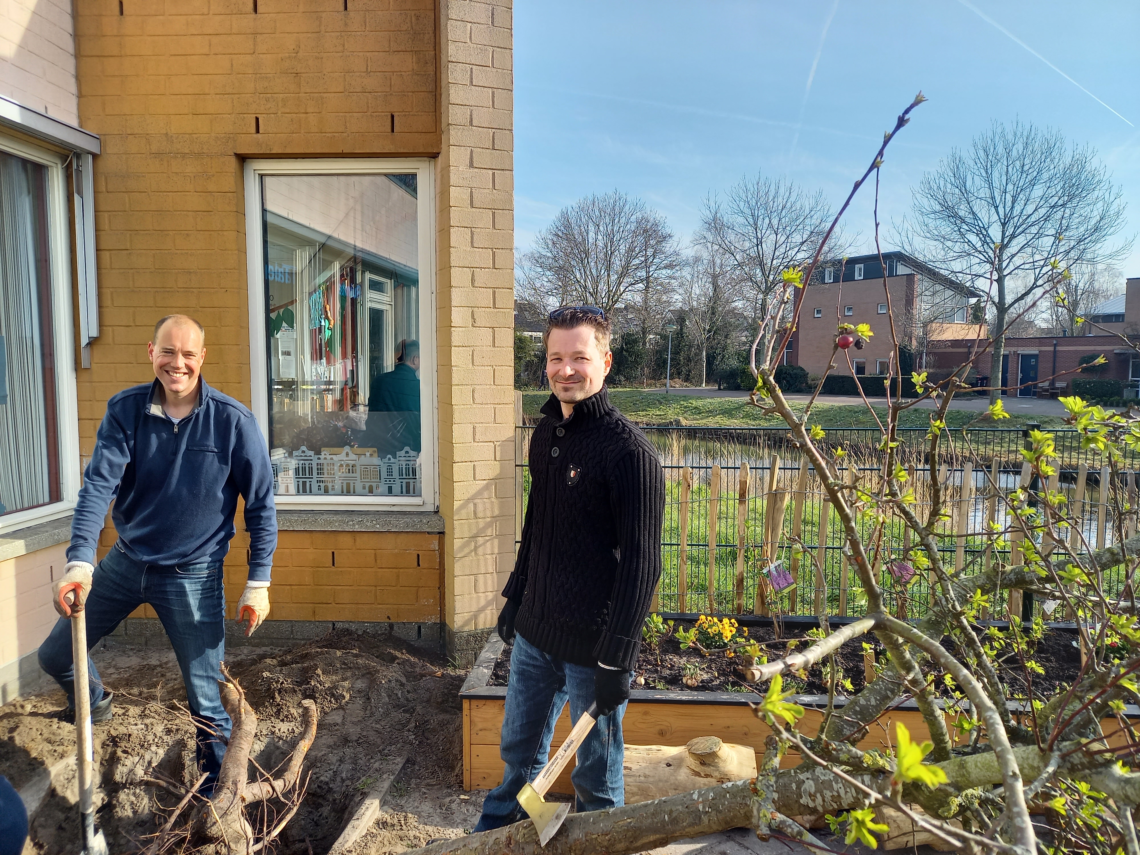 Boom verplaatst met ouderhulp