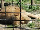IMG_20220419_124857
