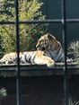 IMG_20220419_125534