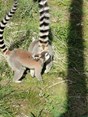 IMG_20220419_111632_1