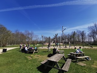 IMG_20220419_125718