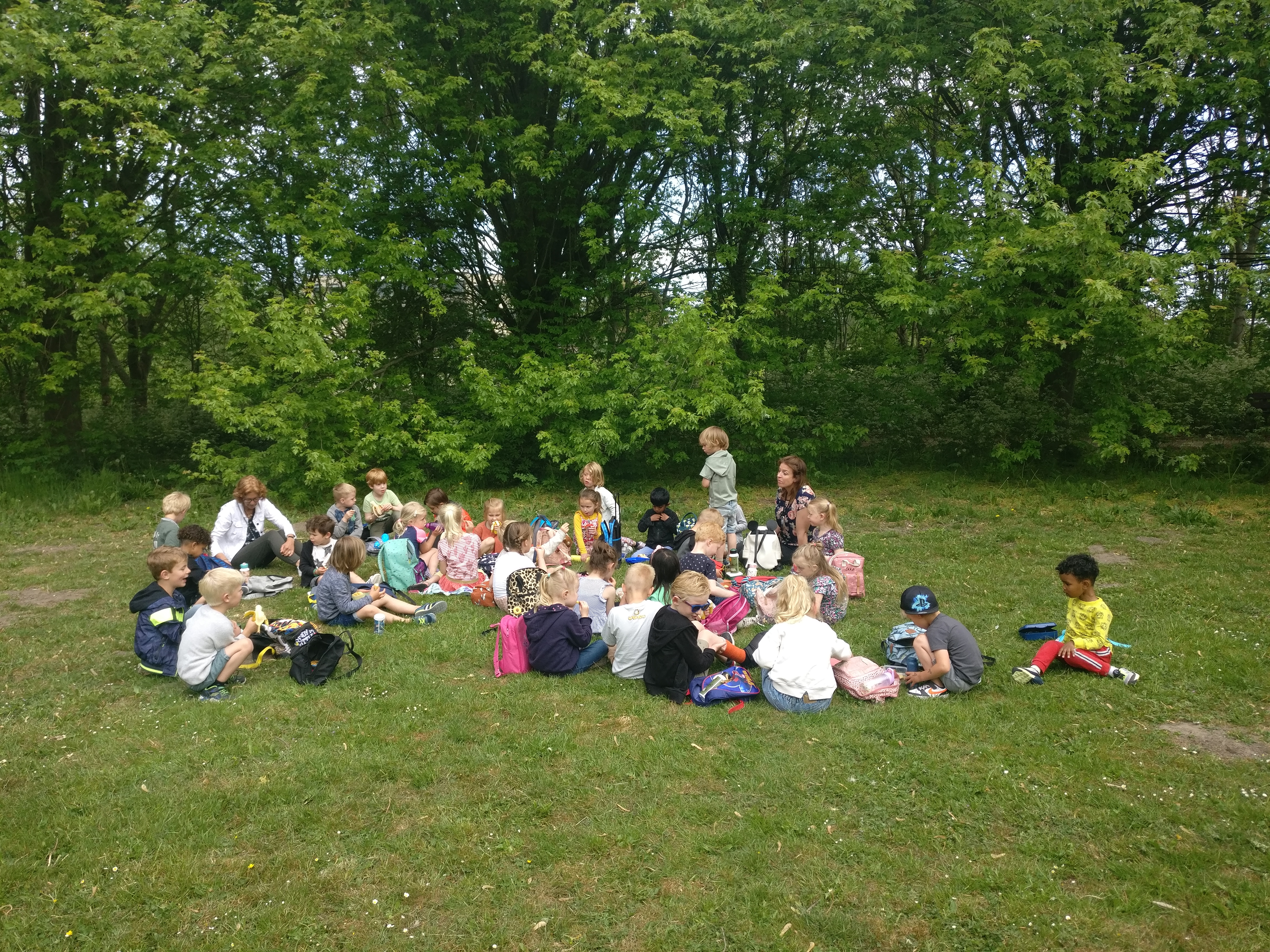 De week in de blauwe kring