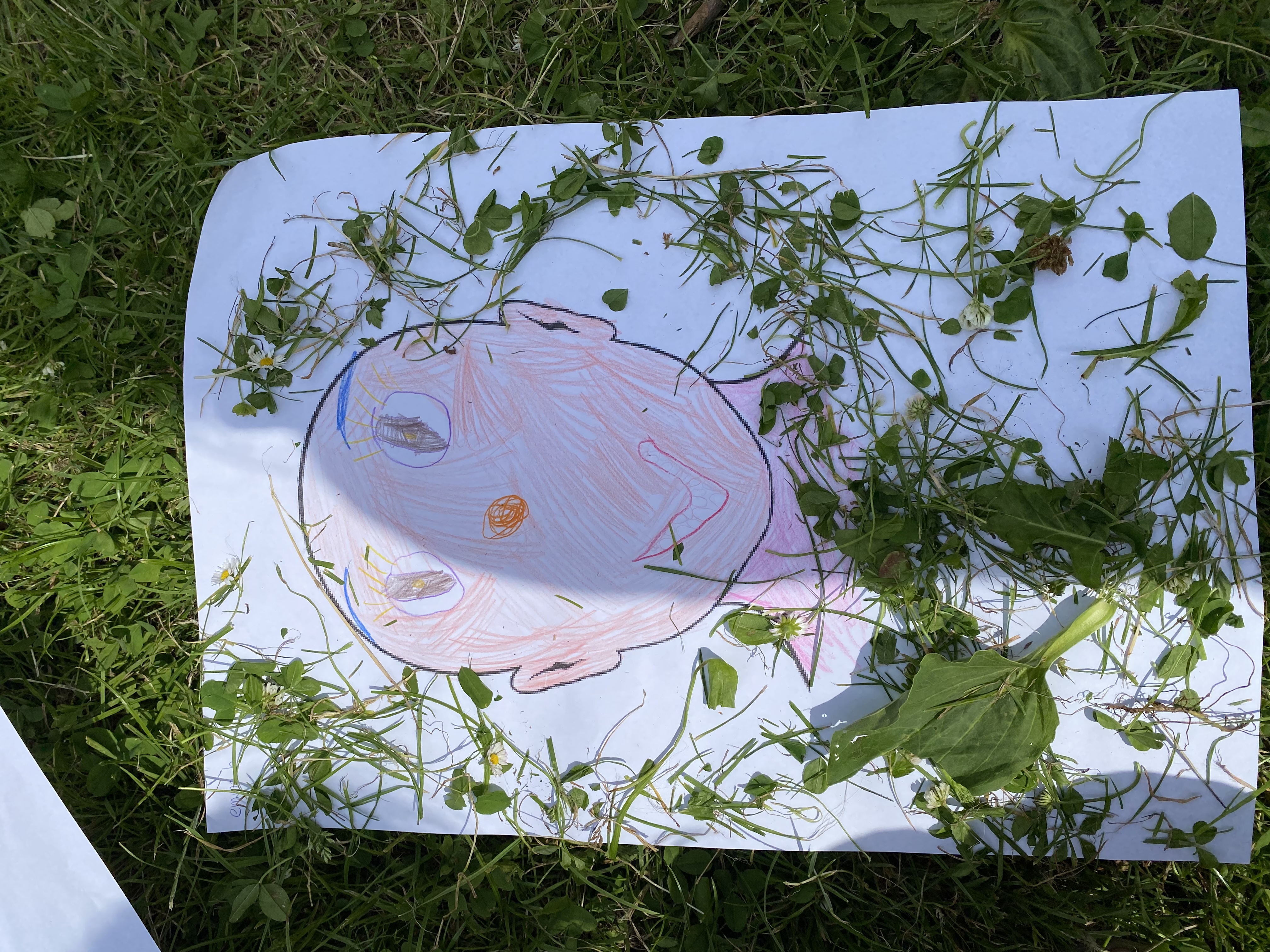 De week van de blauwe kring