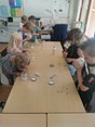 IMG_20220623_140102_1