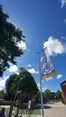 vlag