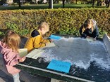 IMG_20221007_091527