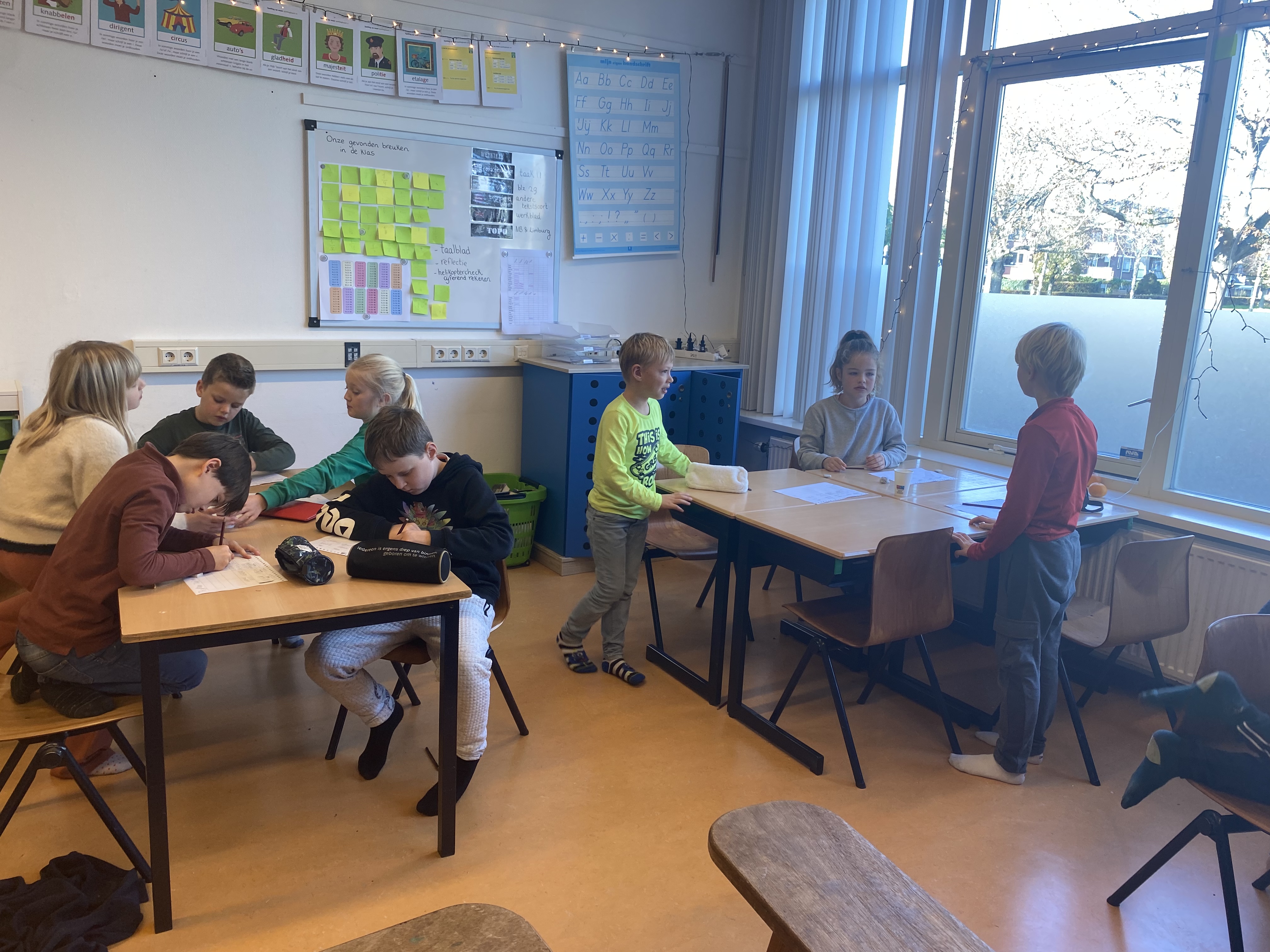 De week van groep 5-6
