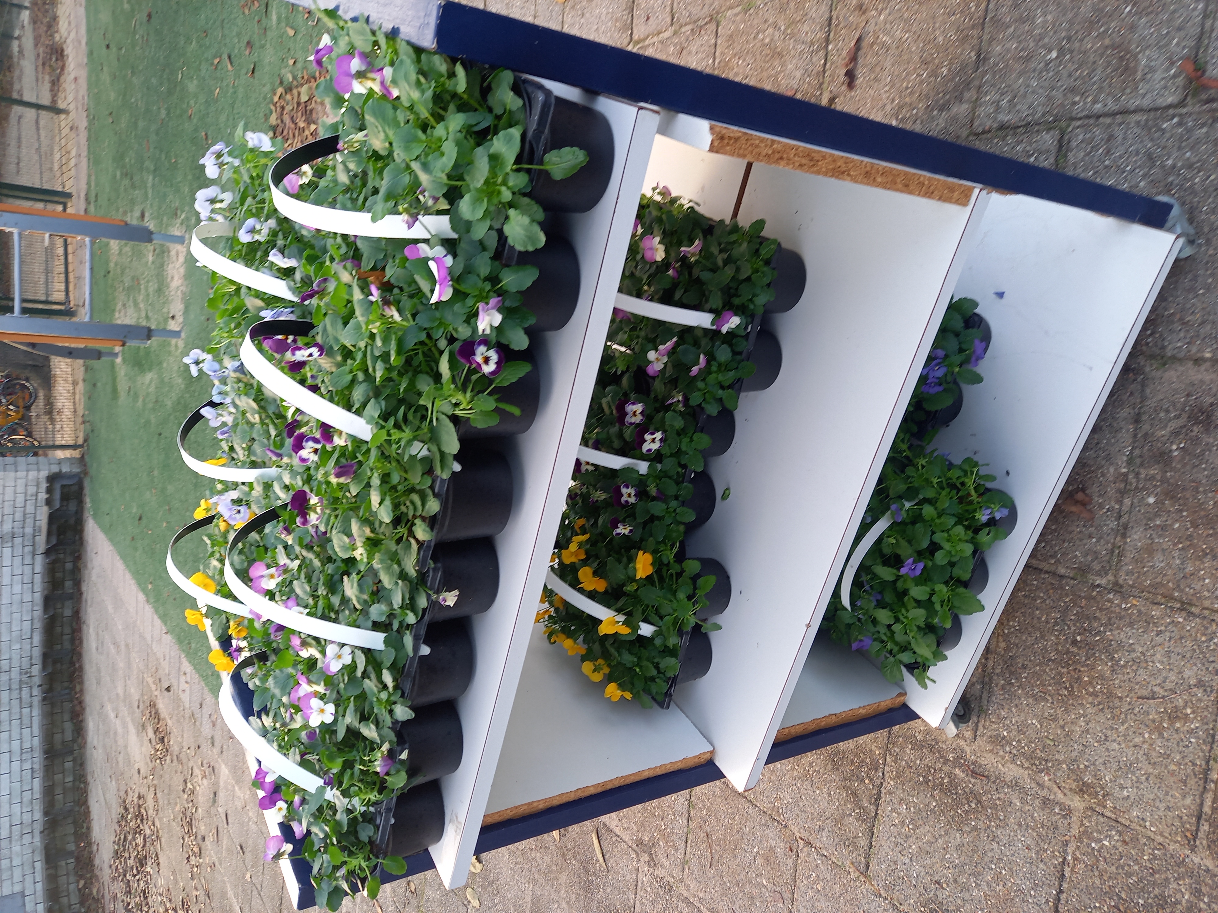 De tuin winterklaar maken