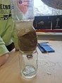 IMG_20230310_110033
