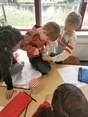 IMG_20230310_105158
