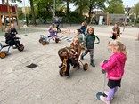 IMG_4463
