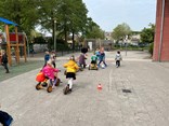 IMG_4462
