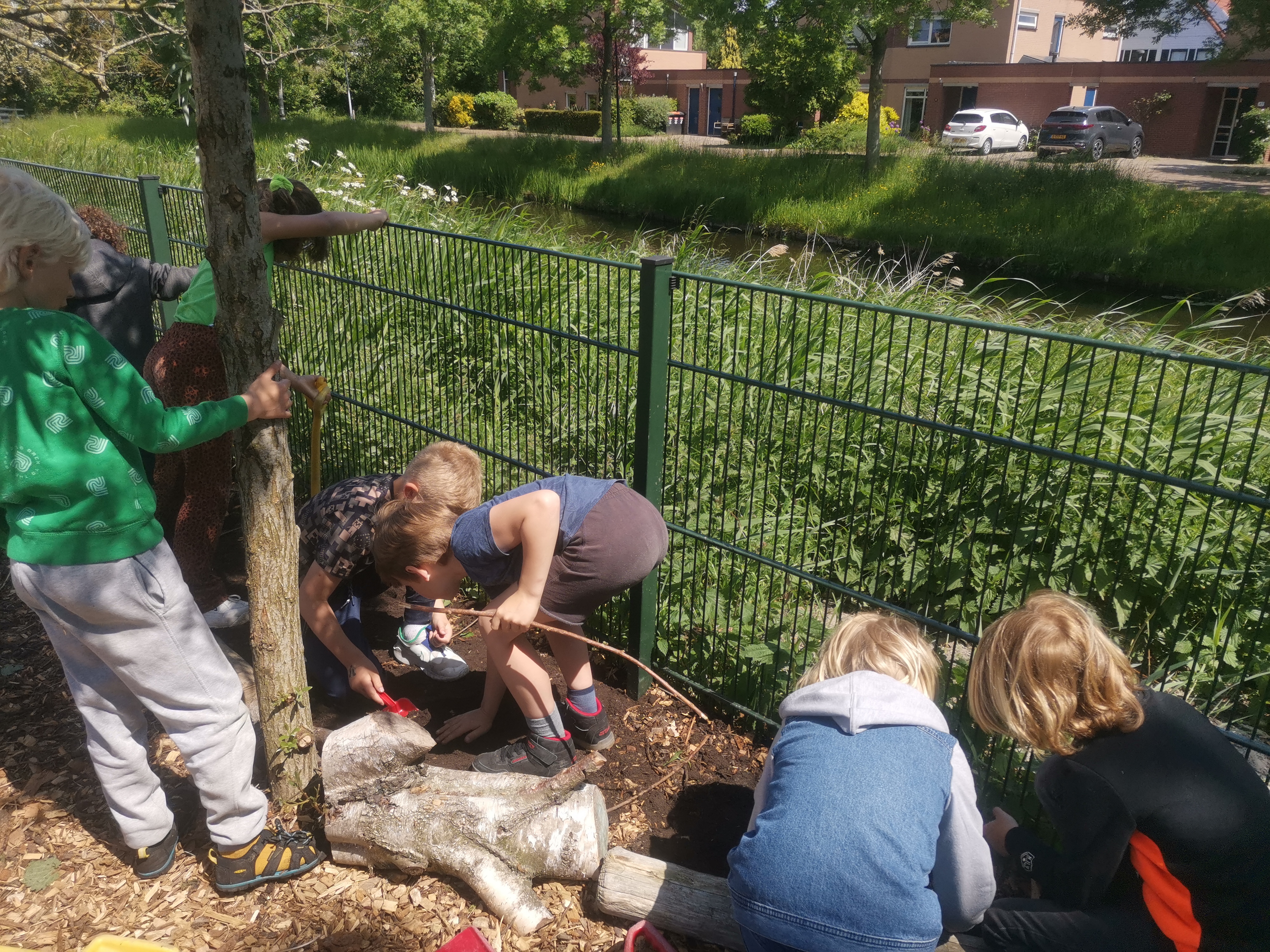 Groep 3-4 maakt eigen moestuin