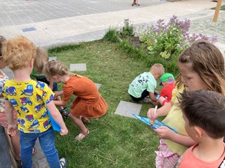 IMG_8384