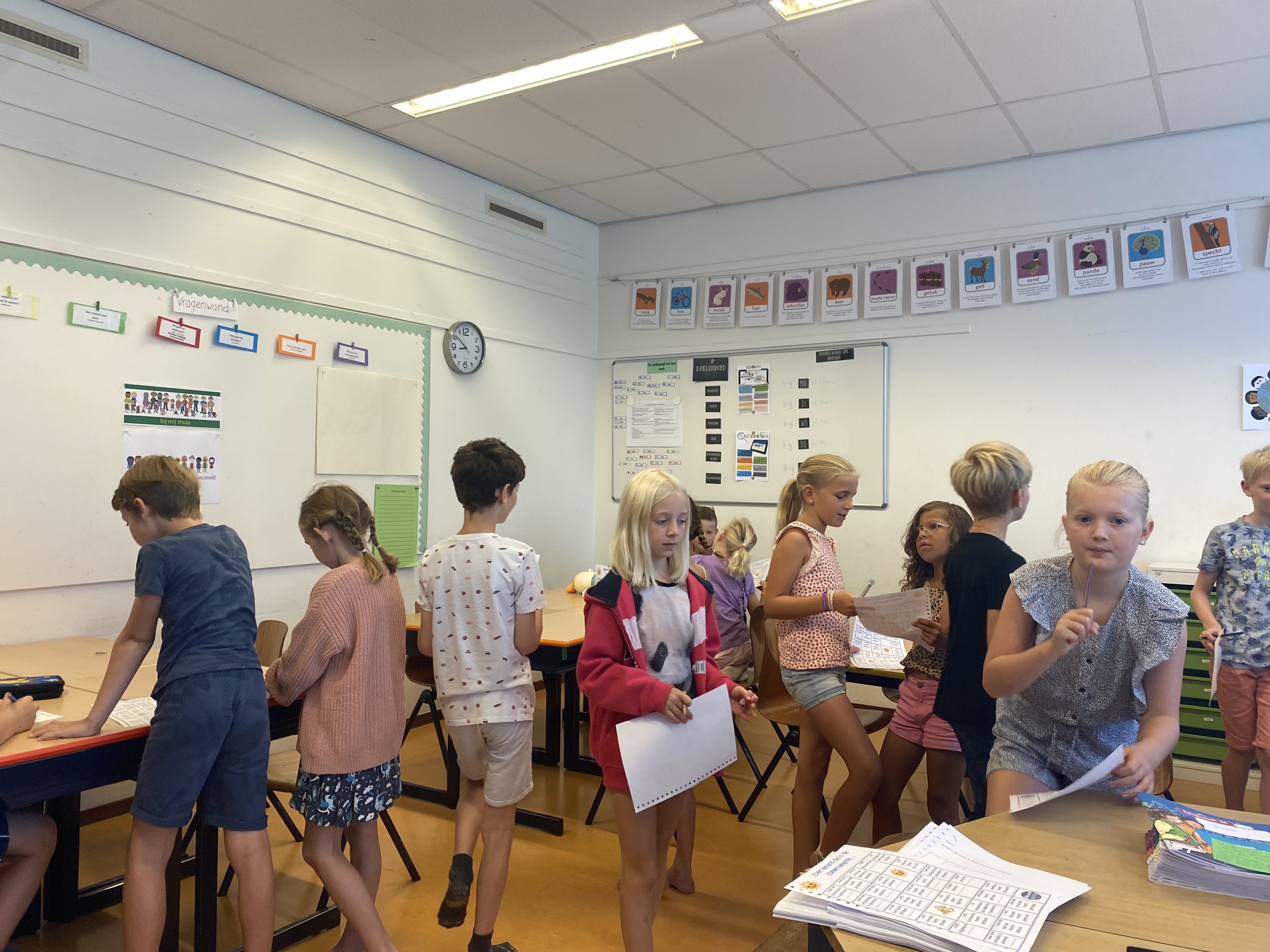 De week van groep 5-6