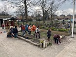 IMG_1537