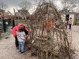 IMG_1550