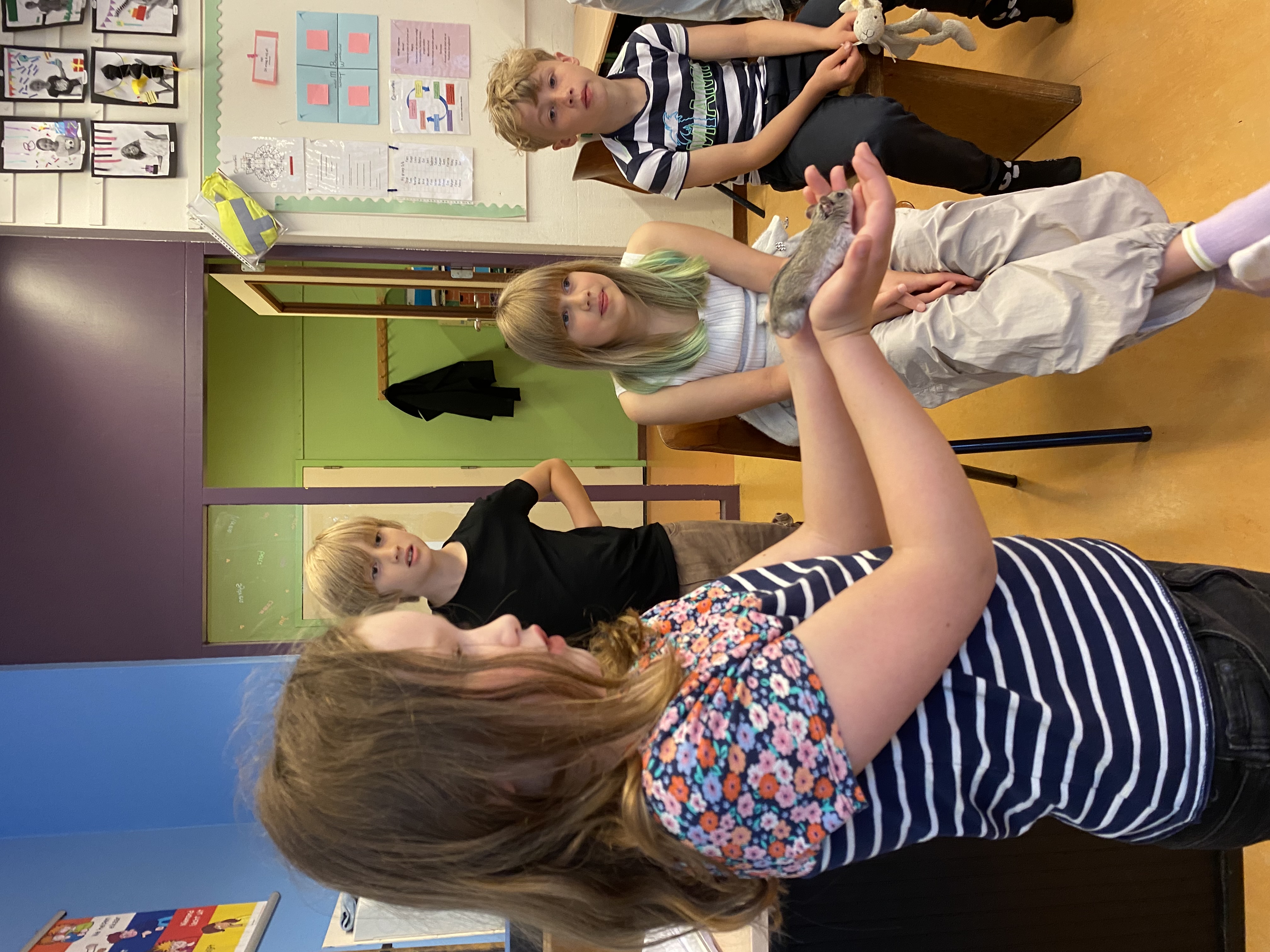 De week van groep 5-6