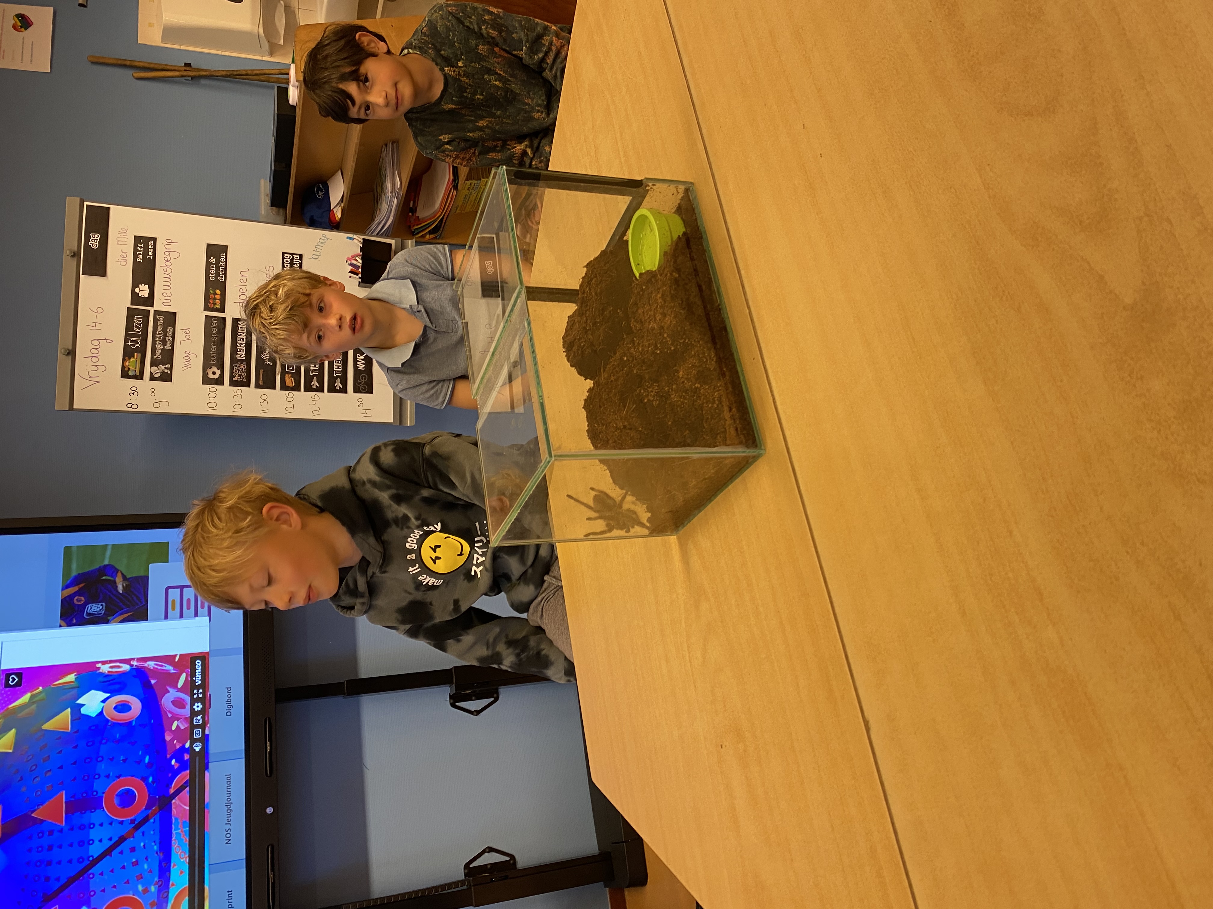 De week van groep 5-6