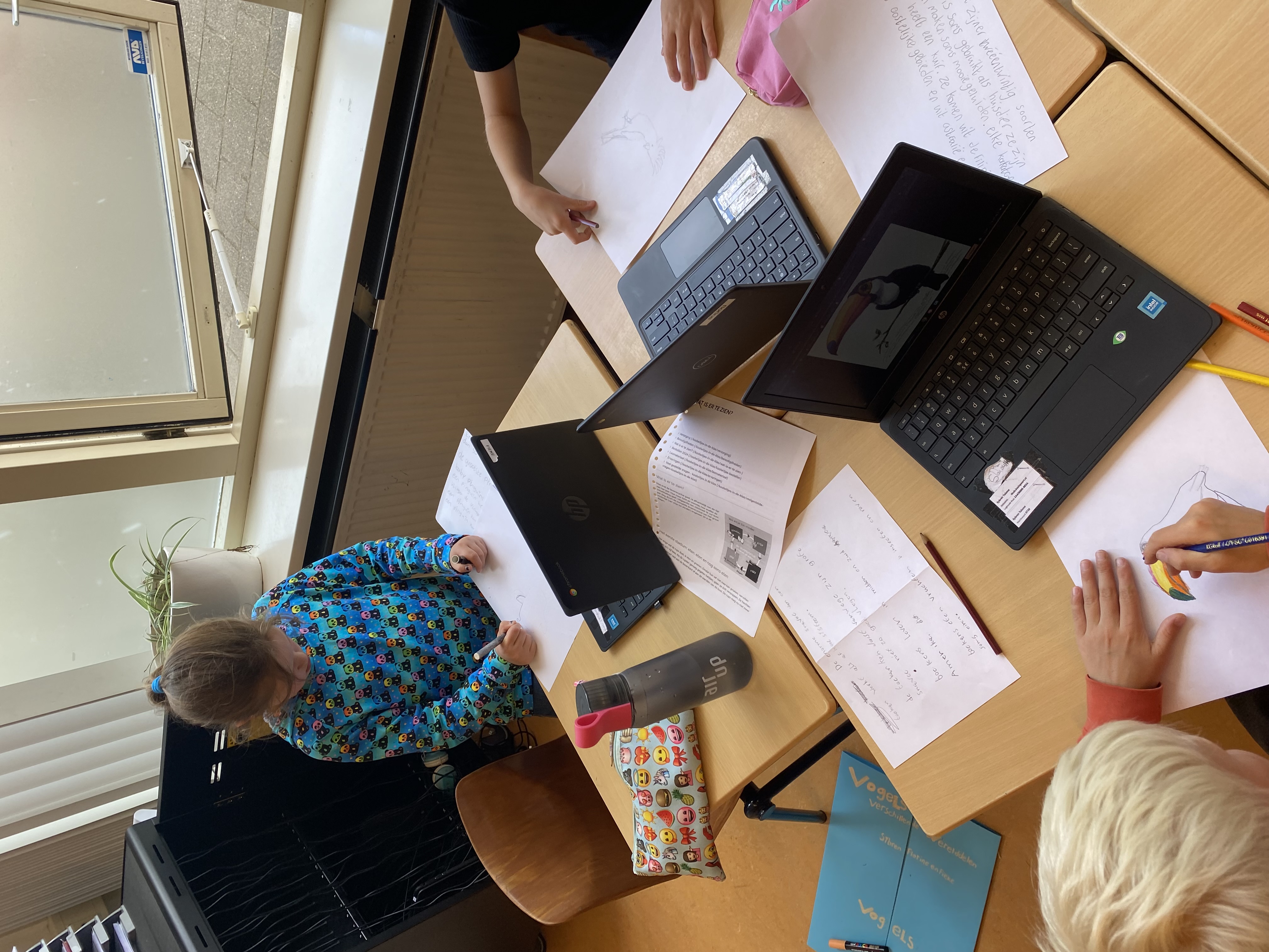 De week van groep 5-6