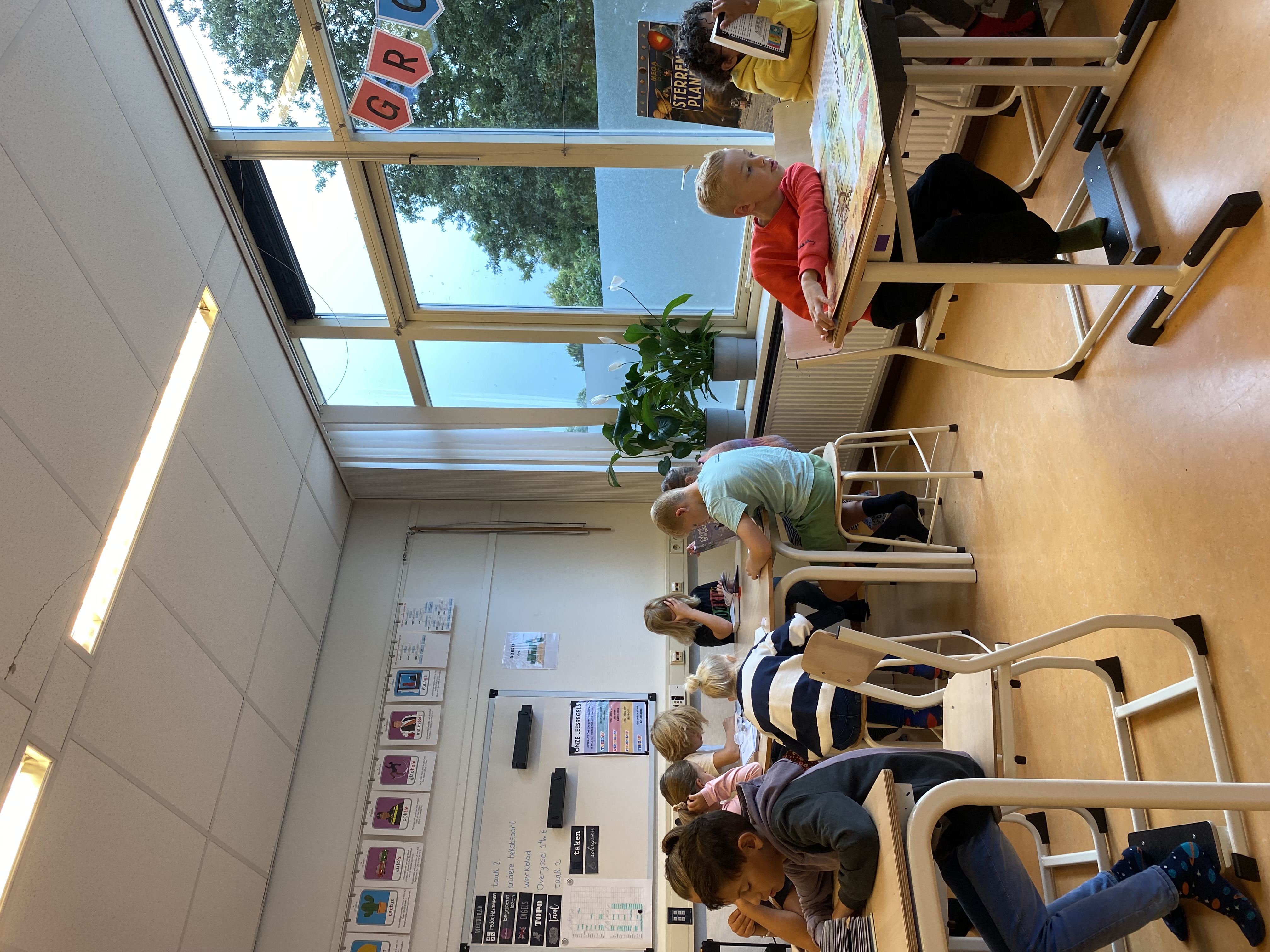 De week van groep 5-6